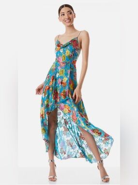 alice and olivia christina floral maxi dress NEW Alice + Olivia Christina Floral Maxi Dress In Pink multi - Size 4  #D7214